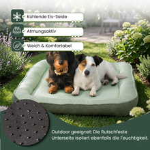 Camppaws CoolNest™  - Das kühlende Hundebett für entspannte Camping-Abenteuer