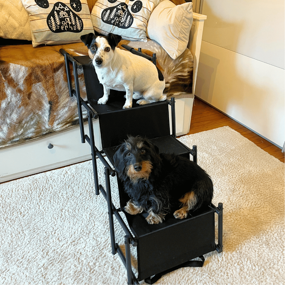 PawStep™ - Faltbare Reise-Hundetreppe