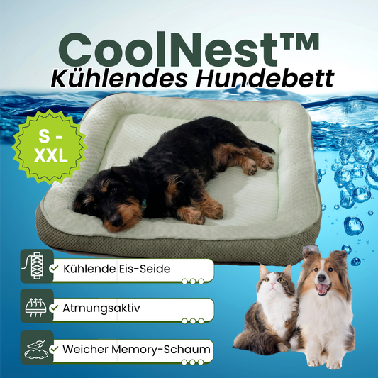 Camppaws CoolNest™  - Das kühlende Hundebett für entspannte Camping-Abenteuer
