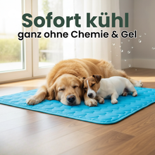 Camppaws CoolPaws™ Kühlmatte für Hunde aus Eis-Seide