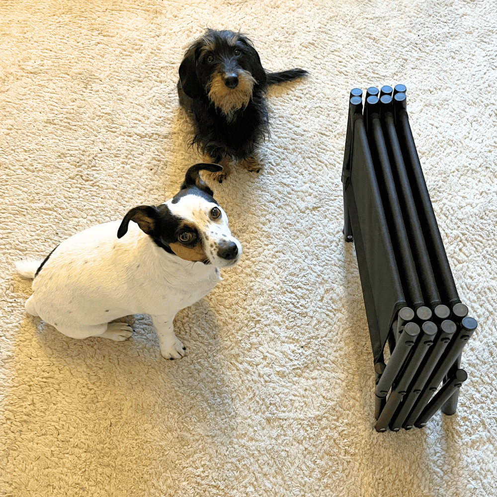 PawStep™ - Faltbare Reise-Hundetreppe