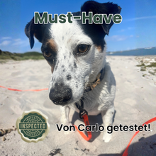 CoastLine™ Adventure Leine – Die wasserfeste Schleppleine für Strand, Vanlife & Abenteuer