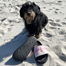 Gassi-letten™ - Must-Have für DogMoms