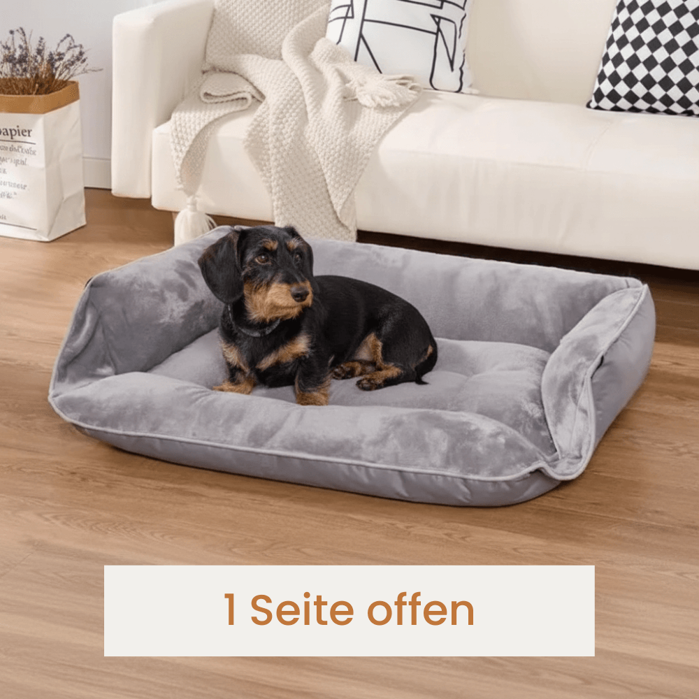 PawNest 4-in-1 Hundebett
