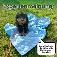 Camppaws CoolPaws™ Kühlmatte für Hunde aus Eis-Seide