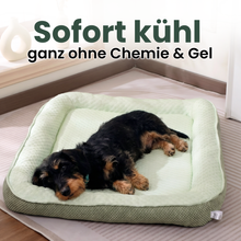 Camppaws CoolNest™  - Das kühlende Hundebett für entspannte Camping-Abenteuer