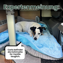Camppaws CoolPaws™ Kühlmatte für Hunde aus Eis-Seide
