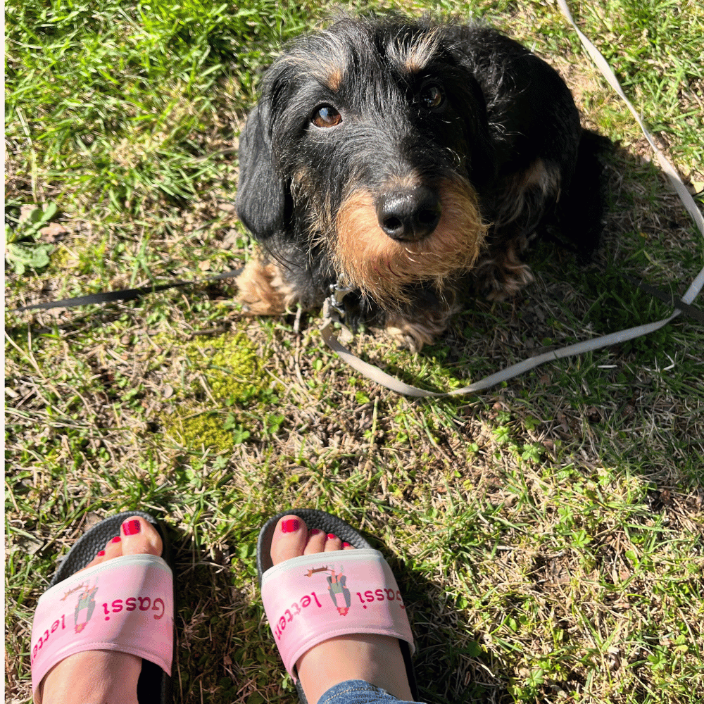 Gassi-letten™ - Must-Have für DogMoms