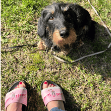 Gassi-letten™ - Must-Have für DogMoms
