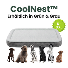 Camppaws CoolNest™  - Das kühlende Hundebett für entspannte Camping-Abenteuer