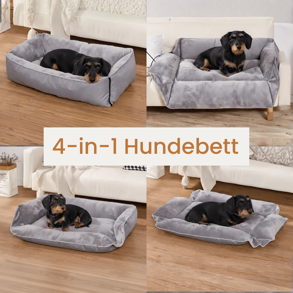 PawNest 4-in-1 Hundebett