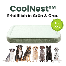 Camppaws CoolNest™  - Das kühlende Hundebett für entspannte Camping-Abenteuer