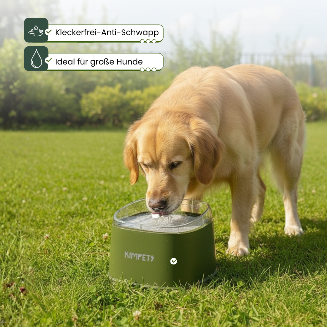 AquaGuard™ Anti-Schwapp 2L Wassernapf - Maxi