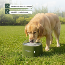AquaGuard™ Anti-Schwapp 2L Wassernapf - Maxi
