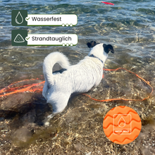 CoastLine™ Adventure Leine – Die wasserfeste Schleppleine für Strand, Vanlife & Abenteuer