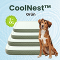 Camppaws CoolNest™  - Das kühlende Hundebett für entspannte Camping-Abenteuer