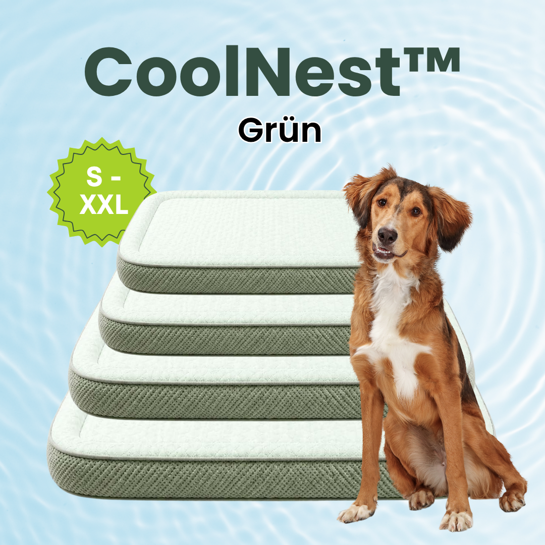 Camppaws CoolNest™  - Das kühlende Hundebett für entspannte Camping-Abenteuer