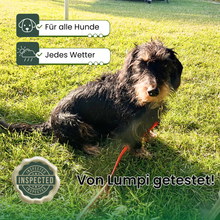 CoastLine™ Adventure Leine – Die wasserfeste Schleppleine für Strand, Vanlife & Abenteuer
