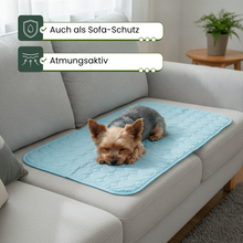 Camppaws CoolPaws™ Kühlmatte für Hunde aus Eis-Seide