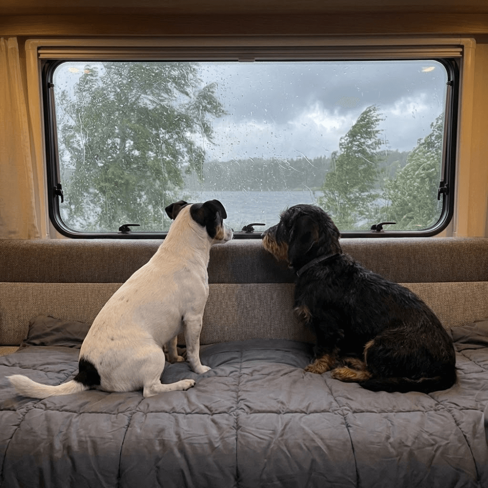 CozyPaws™ - Beheizte Decke & Poncho