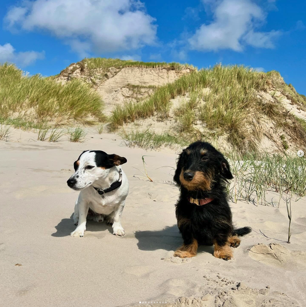 Doglife