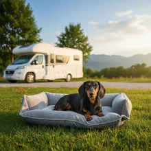 PawNest 4-in-1 Hundebett