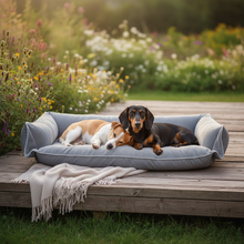 PawNest 4-in-1 Hundebett